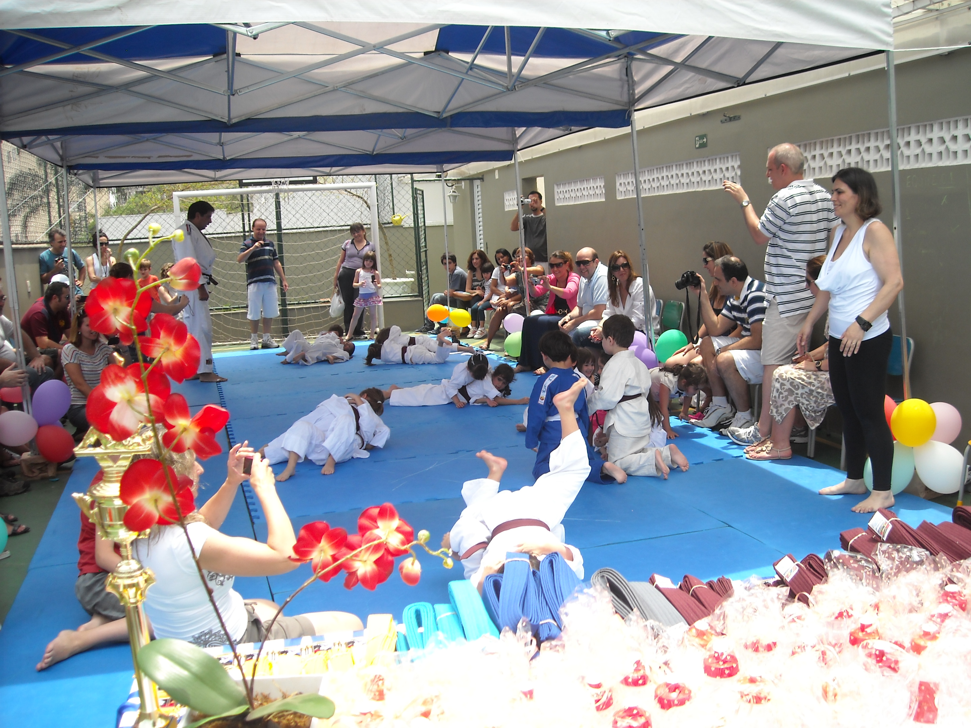 judo7