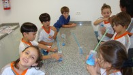 pulmao 1