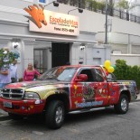 niver_capa
