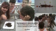 tela2